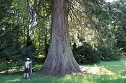 Arboretum du Parc Thermal