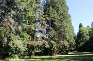 Arboretum du Parc Thermal