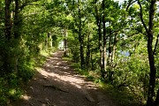 Sentier de randonnée aux rochers des Parcs.