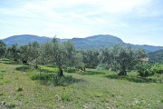 Village d'Estoublon