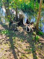 IMG20230502104536