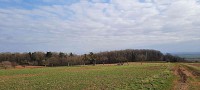 Point de vue sur les champs