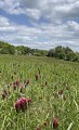 Coteaux de Ludres