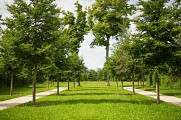 Le parc de Brabois