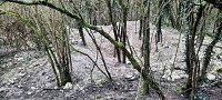 Le haut des Sorins à Turny