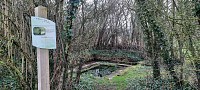 Le haut des Sorins à Turny