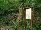 Ruines du Moulin Bissy