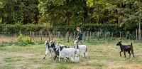 Ferme de Paris