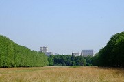 Allée royale du bois de Vincennes