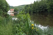 Balade sonore - Découverte de Frohmuhl