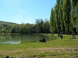 La Forêt royale - Chemin de la sabine