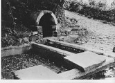 Balade sonore - Découverte de Zittersheim