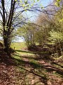 Balade sonore - Découverte de Zittersheim