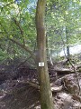 Balade sonore - Découverte de Zittersheim