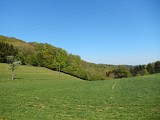 Balade sonore - Découverte de Zittersheim