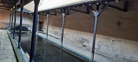 Lavoir 