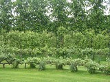 Jardin pépinière Le Point du Jour