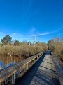 IMG_20250318_084833