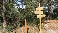 Col du Trayas