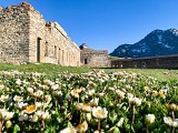Fort de la Turra