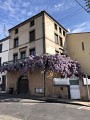 Maison vigneronne à Beaumon - Second modèle | Pays d'Art et d'Histoire