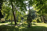 Parc du Saut du Loup