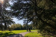 Parc du Plateau