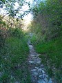 Chemin