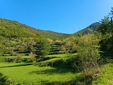 vers la Pinée
