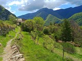 Sentier 