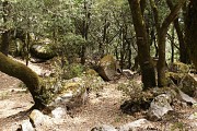 Site de Cucciurpula