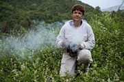 Mare à Mare Centre variante étape 6 - De Bastelica à Tavera