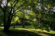Parc Floral de Paris