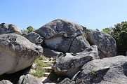 Casteddu de Cuccuruzzu