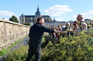 Potager du Roi