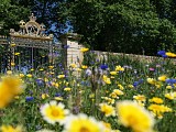 Potager du Roi