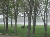 La Rincerie : site protégé, lac, pêche, ornithologie, activités nature, nautiques, plein-air, Camping***, salles, hébergement