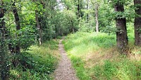 sentier