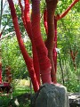 Le Jardin Délirant