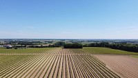 Domaine Roland Vilneau