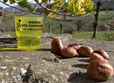 Marche des châtaignes