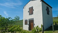 Tonne de Vigne à Cournon-d'Auvergne | Pays d'Art et d'Histoire