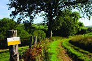 Village de Montagny