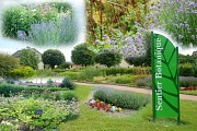 Jardin des plantes médicinales