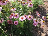 Jardins de l'École du Breuil