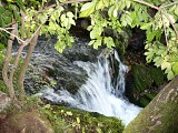 Des Sources de la Saâne à la Coûture - Piste des Chevreuils
