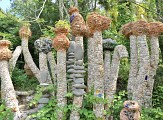 Le Jardin des Sambucs
