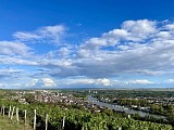 Joigny vue du Belvédère