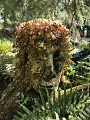 Le Jardin des Fontaines Pétrifiantes