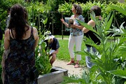 Les jardins du Couvent des Carmes